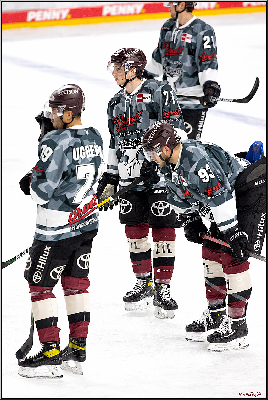 PENNY DEL;  Koelner Haie - Fischtown Pinguins Bremerhaven; Koeln, 12.02.2021